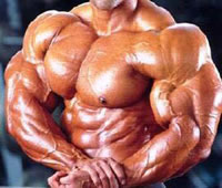 muscoli