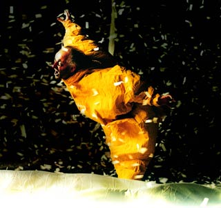 Slava Snowshow
