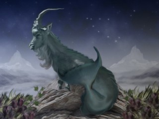 Capricorno
